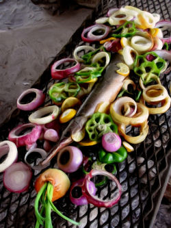 Seminole Grilled Fish