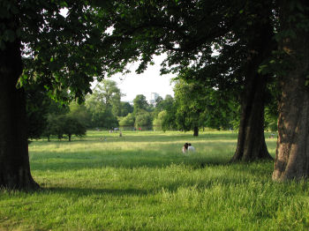 Kensington Gardens