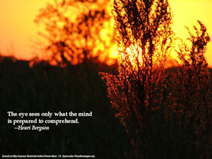 The eye sees only what the mind is prepared to comprehend.